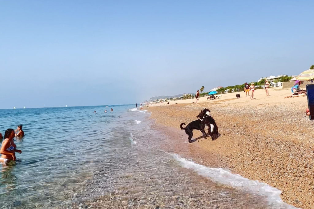 praias da espanha - Pineda de mar